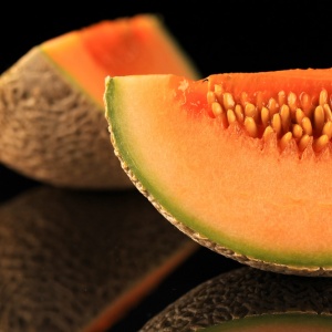 Melon Cantaloupe - FA0123