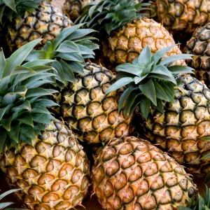 Pineapple Kenyan Special - FA1776