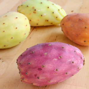 Prickly Pear - FA1866