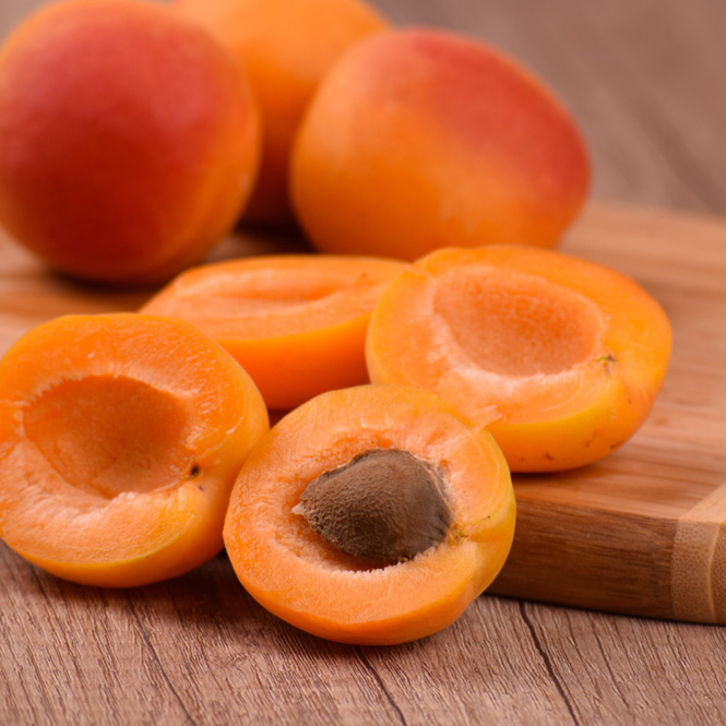 Apricot - FA0197