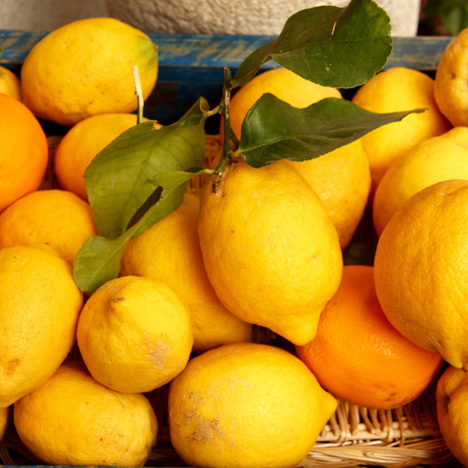 Lemon Sicily - FA0203
