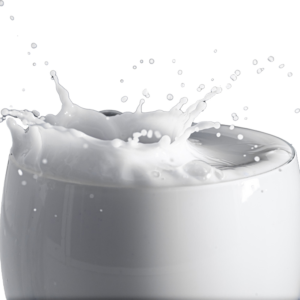 Milk - FA0268