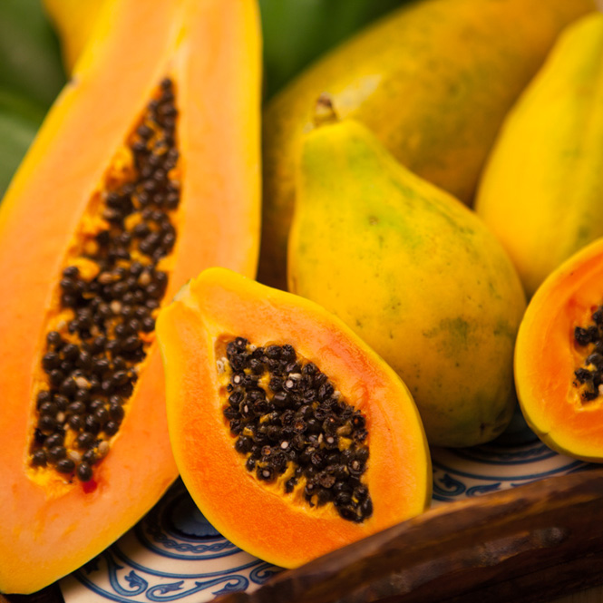 Papaya - FA0385