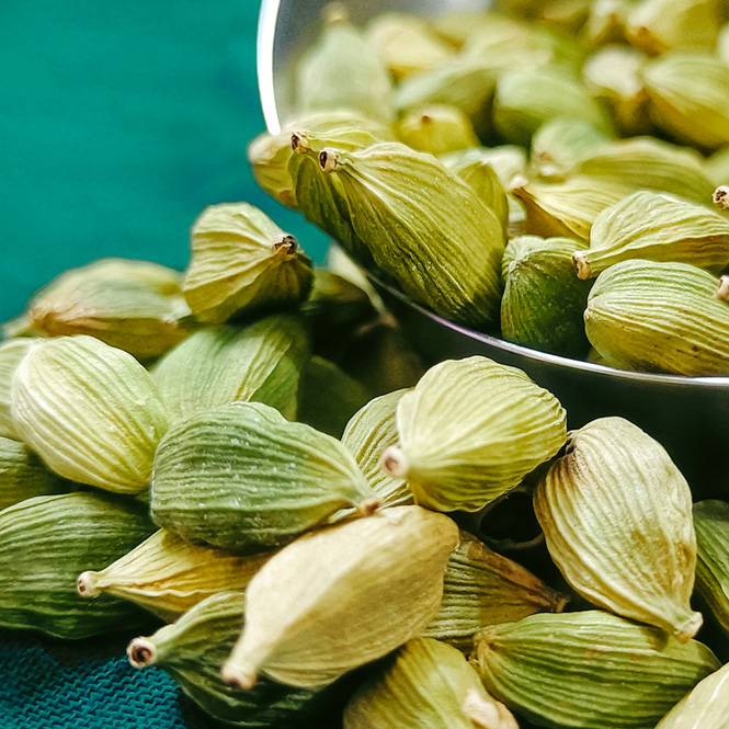 Cardamom - FA0555