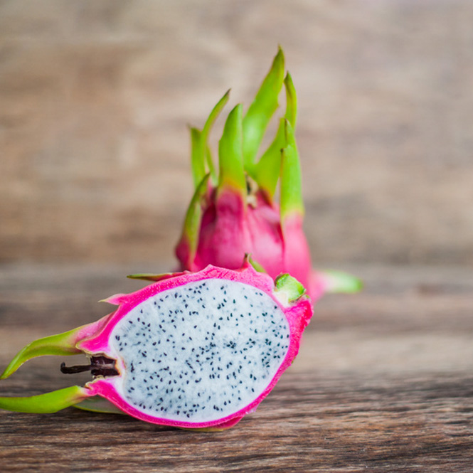 Dragon Fruit - FA1621