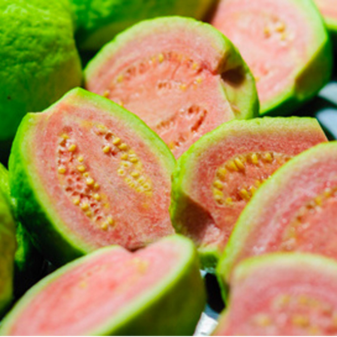 Pink Guava - FA1870