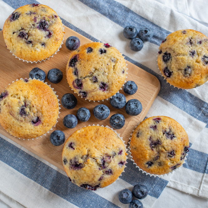 Blueberry Muffin - FA1894