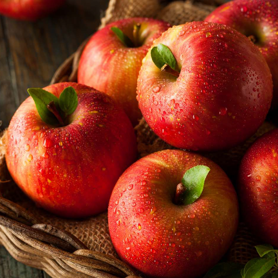 Apple Fuji DC - FA1898