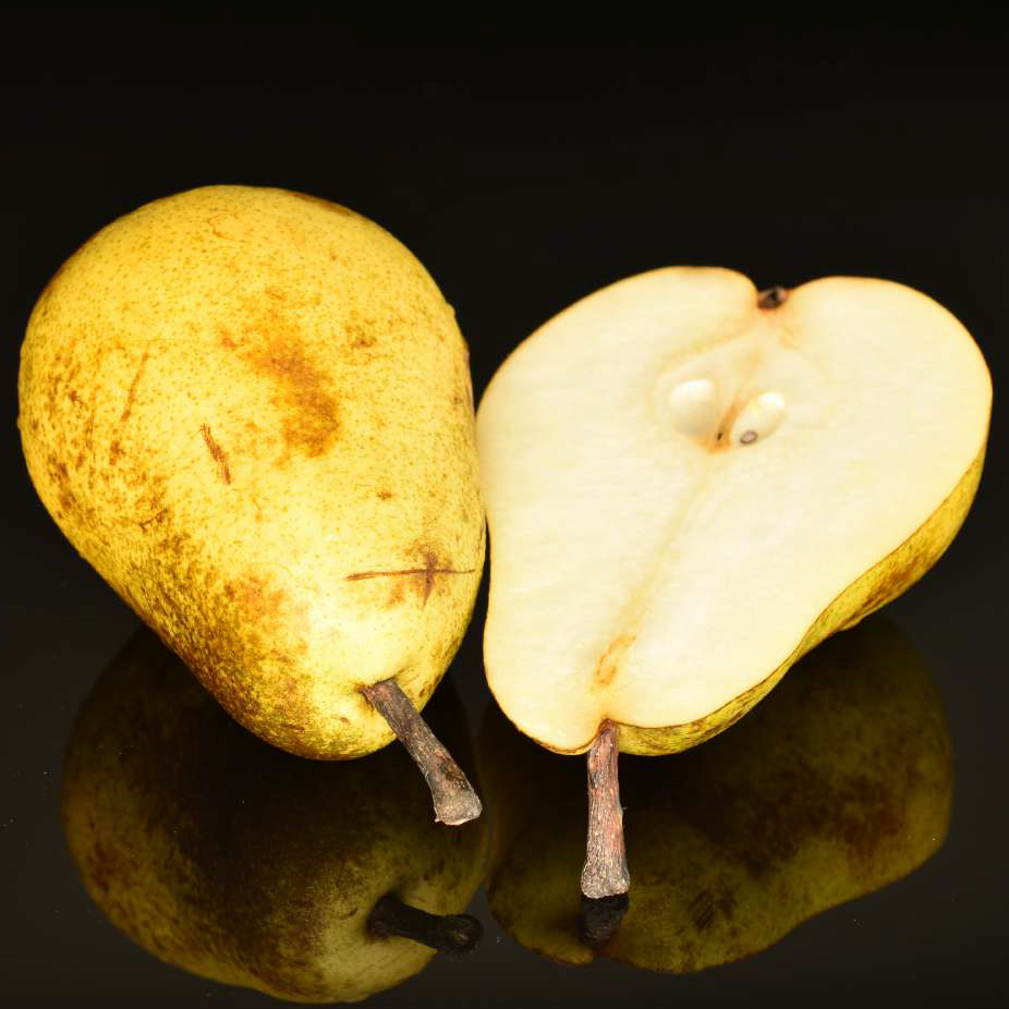 Pear Williams - FA3174